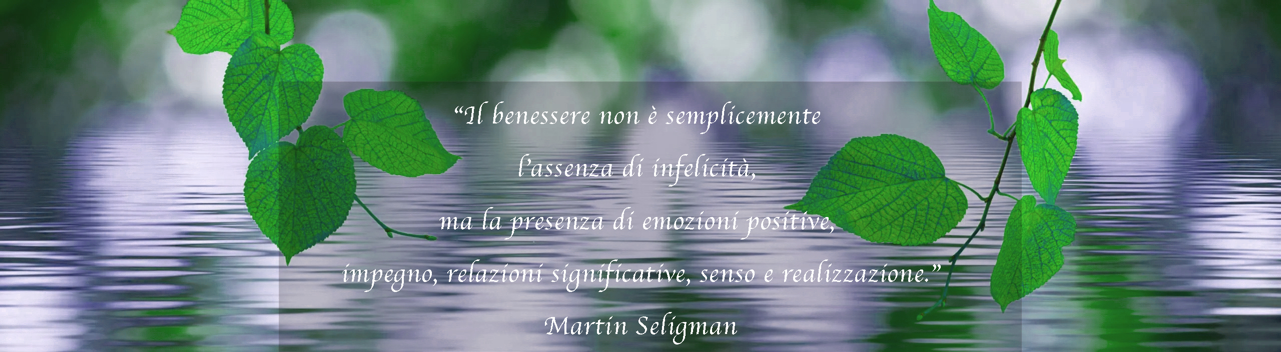 Martin Seligman